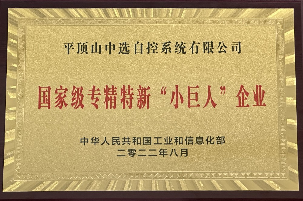 國家級專精特新“小巨人”企業(yè)